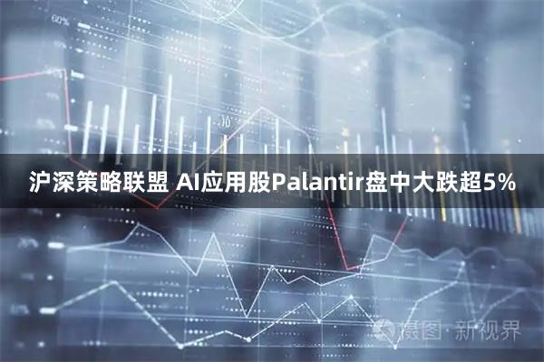 沪深策略联盟 AI应用股Palantir盘中大跌超5%