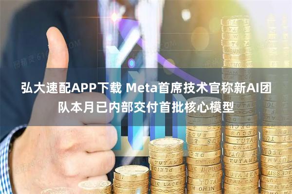 弘大速配APP下载 Meta首席技术官称新AI团队本月已内部交付首批核心模型