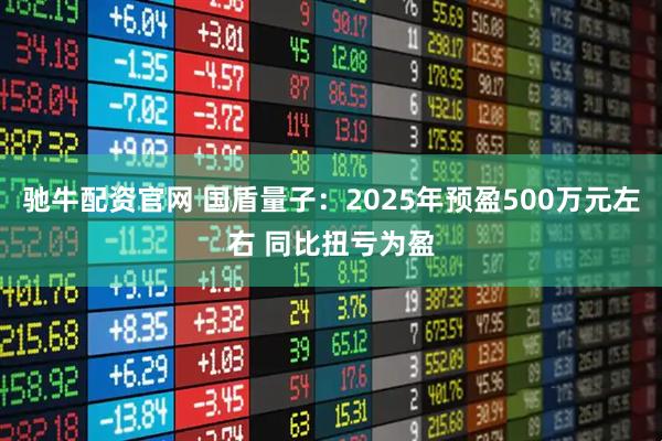 驰牛配资官网 国盾量子：2025年预盈500万元左右 同比扭亏为盈